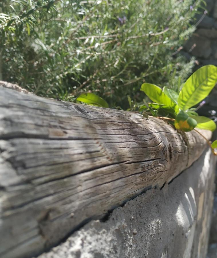 Finca La Ladera 巴耶格兰雷伊 外观 照片